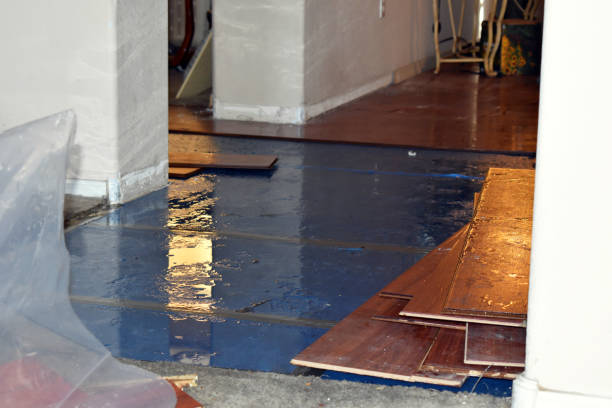 Professional Water Damage technician working in North Franklin, CT