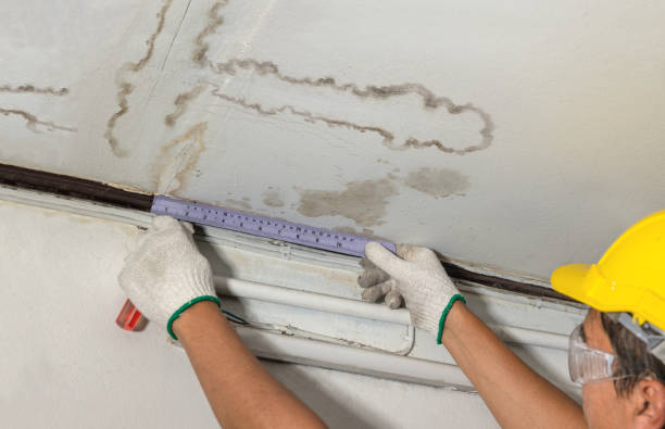 Reliable Water Damage contractor in North Franklin, CT by Water Damage Irwin